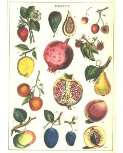 Fruits Greeting Card