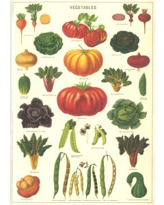 Vegetables Greeting Card